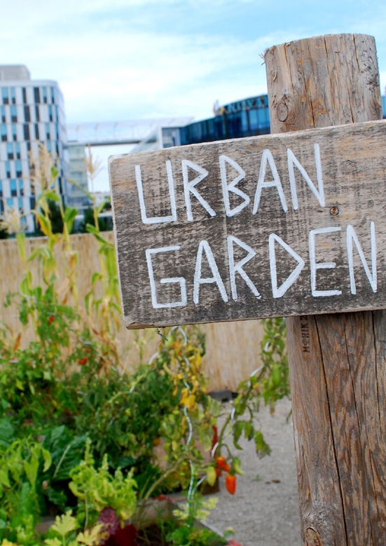 766488e3658e0daaabe6f7e42c884255