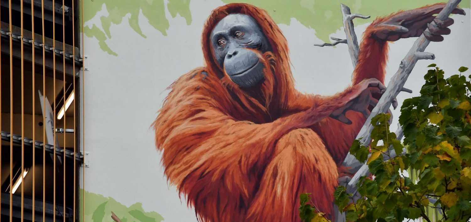 WIRO Rostock Ina Wilken macht Fassaden zu Kunstwerken