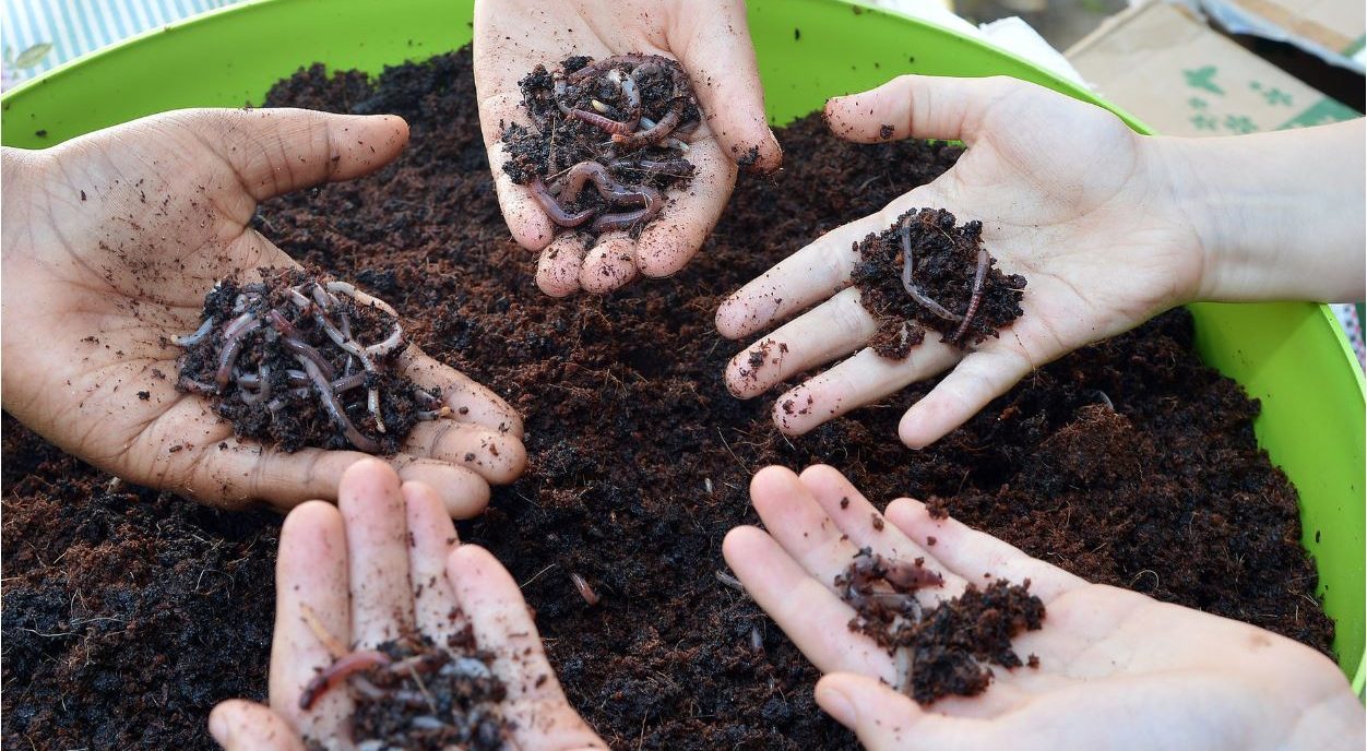 Stadt und Land Berlin spendet Komposter für Schüler der Hermann-Boddin-Schule