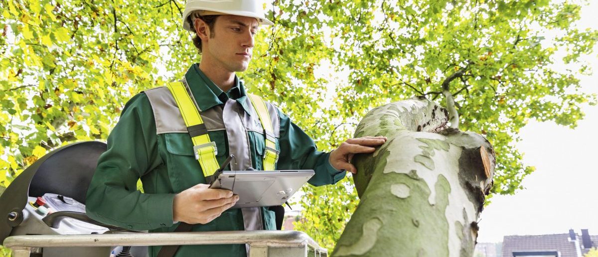 fueko baumpruefung-dekra-presse
