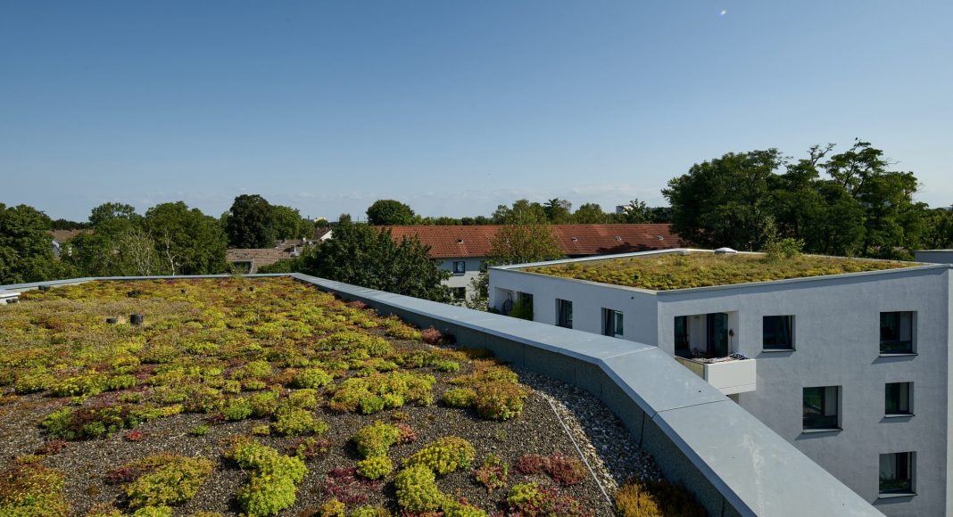 Dachbegruenung_008-2048x1365