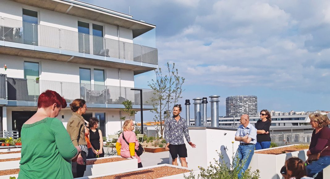 Das gemeinsame Gartln bringt Menschen unterschiedlicher Alters- und Kulturgruppen zusammen. Fotos: realitylab