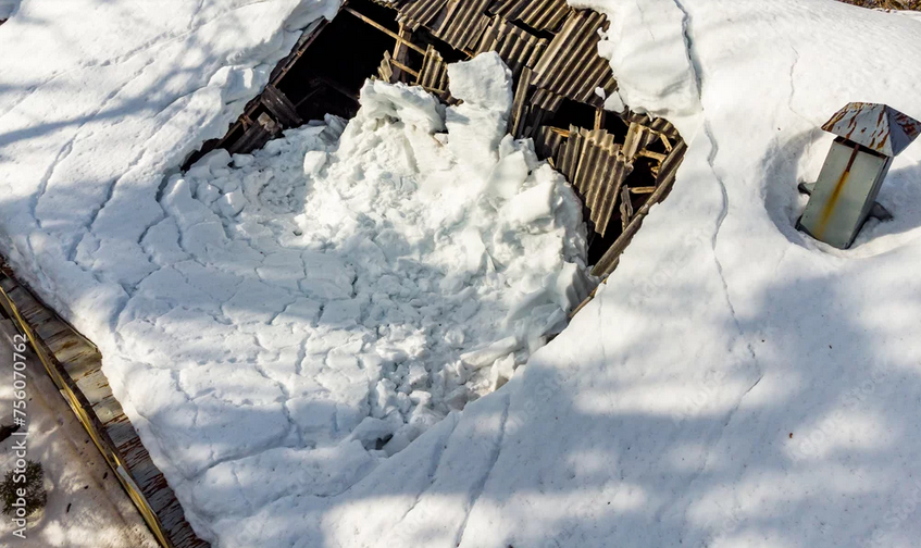 Build Back Better: Thema - Schneedruckschäden verhindern Build Back Better: Thema - Schneedruckschäden verhindern